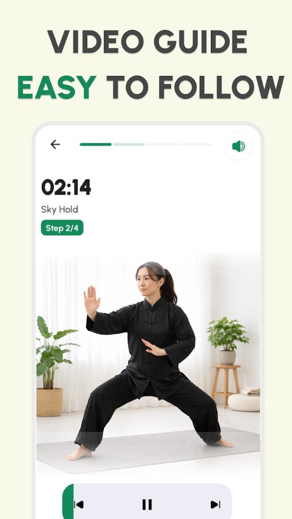 Tai chi walking videos with guided instructions for beginners